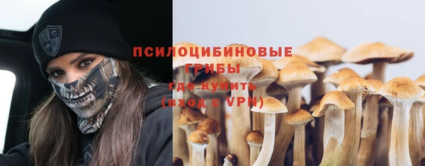 индика Арсеньев