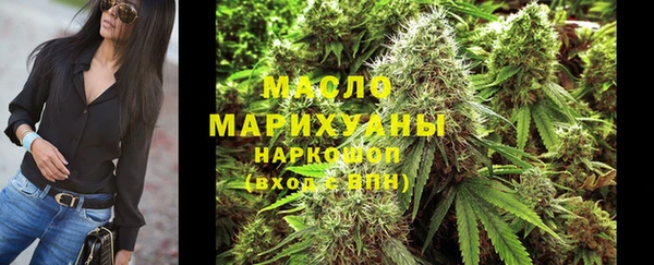 индика Арсеньев