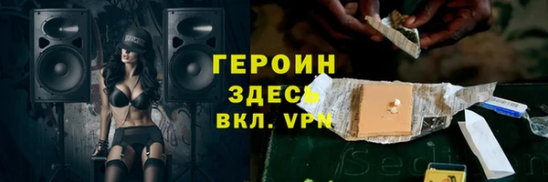 индика Арсеньев