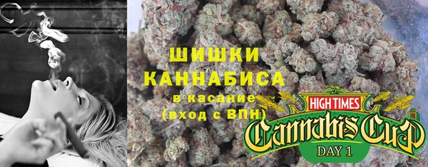 индика Арсеньев