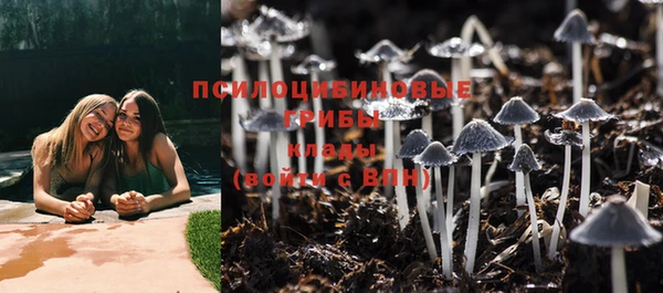 первитин Армянск