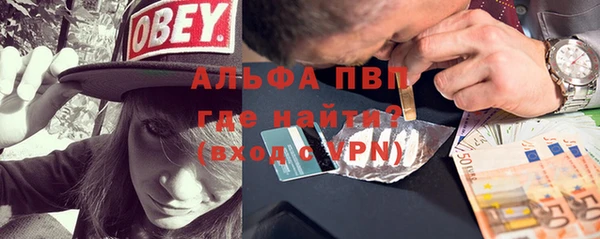 индика Арсеньев