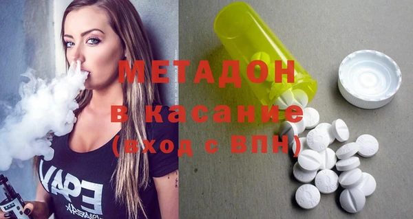 индика Арсеньев