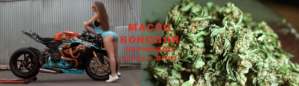 индика Арсеньев